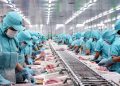 Xuất khẩu thủy sản Việt Nam sang thị trường Nga đang dần phục hồi
