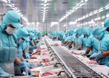 Xuất khẩu thủy sản Việt Nam sang thị trường Nga đang dần phục hồi