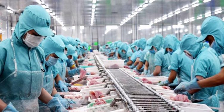 Xuất khẩu thủy sản Việt Nam sang thị trường Nga đang dần phục hồi