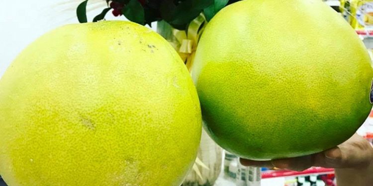 Trái bưởi Việt Nam chuẩn bị xuất khẩu sang Mỹ