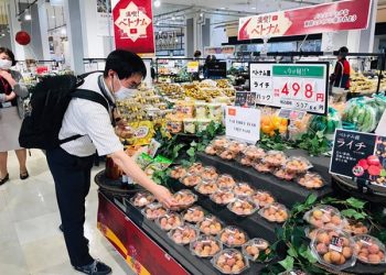 Nông sản sang Trung Quốc vẫn “tắc”, doanh nghiệp cần chủ động hơn trong kế hoạch tiêu thụ