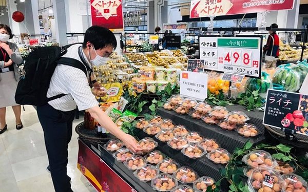 Nông sản sang Trung Quốc vẫn “tắc”, doanh nghiệp cần chủ động hơn trong kế hoạch tiêu thụ