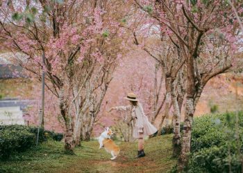 Lâm Đồng không bắt khách lưu trú phải test nhanh