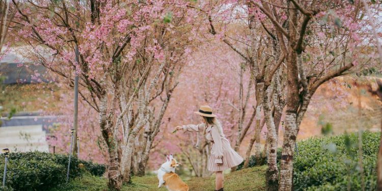 Lâm Đồng không bắt khách lưu trú phải test nhanh