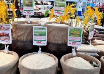 Giá gạo xuất khẩu tăng 5 USD/tấn, gạo Thái Lan giảm