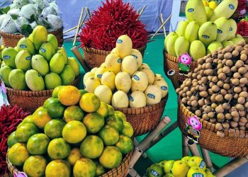 Trung Quốc ra lệnh mới, nhiều doanh nghiệp Việt vẫn “ngô nghê”