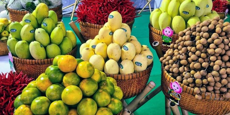 Trung Quốc ra lệnh mới, nhiều doanh nghiệp Việt vẫn “ngô nghê”