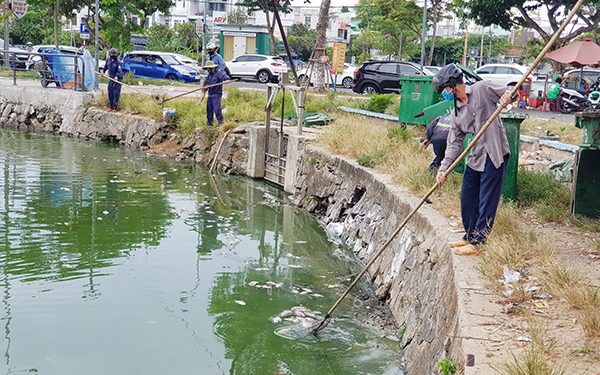 Quỹ Bảo vệ môi trường TP Đà Nẵng công bố lãi suất cho vay ưu đãi năm 2022