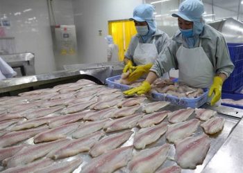 Kim ngạch 450 triệu USD, Trung Quốc vẫn giữ vị trí nhập khẩu cá tra hàng đầu Việt Nam