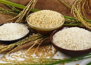 Giá gạo trong nước giảm nhưng giá gạo xuất khẩu tăng thêm 5 USD/tấn