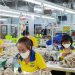 Các doanh nghiệp ở TP.HCM dự kiến cần khoảng 70.000 đến 75.000 lao động