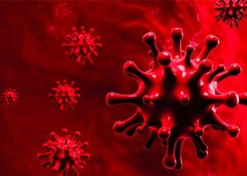 Tiến tới coi COVID-19 là bệnh đặc hữu