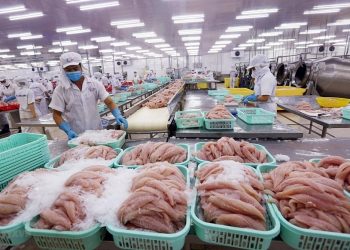 Kỳ vọng xuất khẩu cá tra sang EU tăng trở lại trong năm 2022