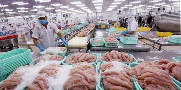 Kỳ vọng xuất khẩu cá tra sang EU tăng trở lại trong năm 2022