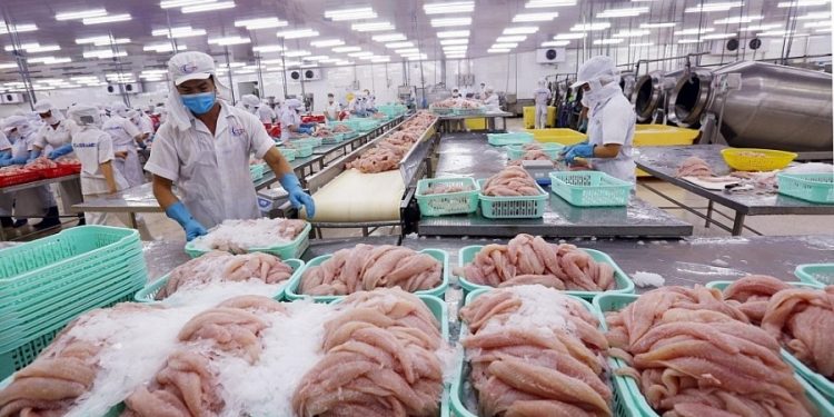 Kỳ vọng xuất khẩu cá tra sang EU tăng trở lại trong năm 2022