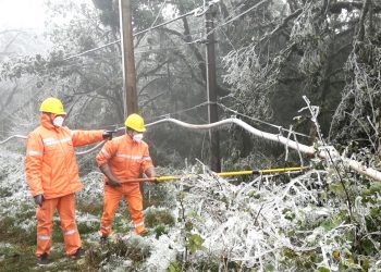 EVNNPC: Xử lý tồn tại trên lưới điện để cung ứng điện an toàn