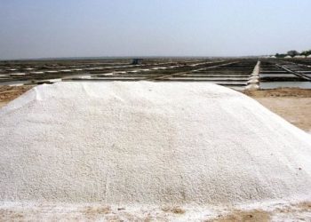 Lý giải nguyên nhân khiến Việt Nam phải nhập khẩu hàng tỷ USD muối mỗi năm