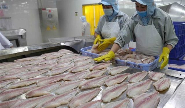 4 doanh nghiệp xuất khẩu cá tra đông lạnh không bị Mỹ áp thuế chống bán phá giá