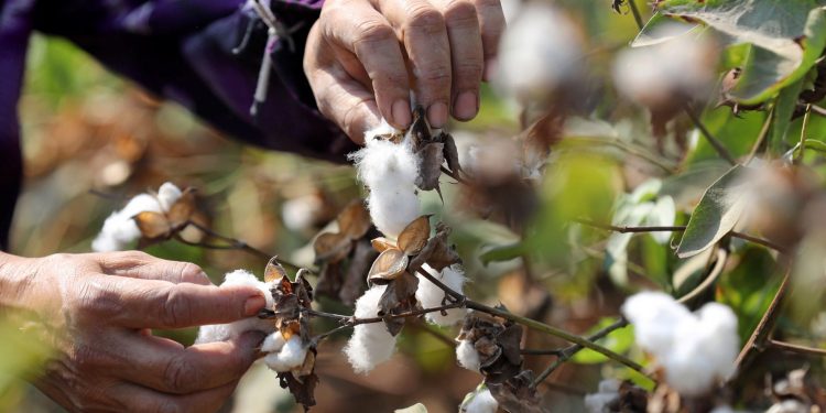 Tháng 1/2022, Việt Nam xuất hơn 473 triệu USD xơ, sợi các loại