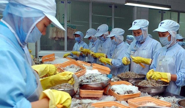 Tháng đầu năm 2022, xuất khẩu tôm đạt trên 313 triệu USD, tăng 43% so với cùng kỳ