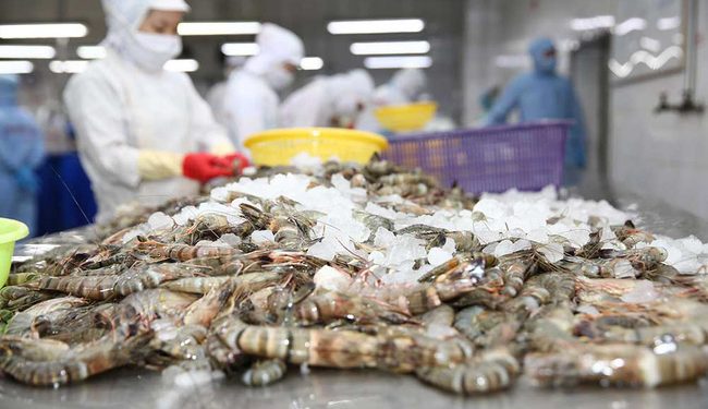 Tháng 4: Dự báo xuất khẩu tôm tăng 20%