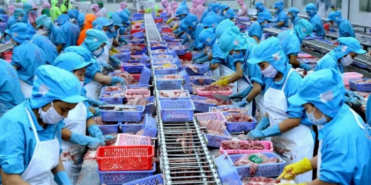 Châu Phi: Thị trường xuất khẩu tiềm năng cho thủy sản Việt Nam