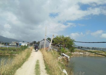 Đất Bắc Vân Phong tăng giá trở lại, chạm đỉnh sốt năm 2018