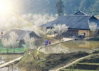 Sắp diễn ra Festival Cao nguyên trắng Bắc Hà