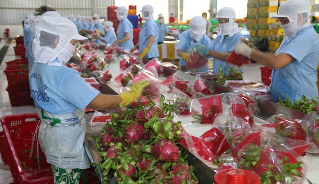 Xuất khẩu nông sản 4 tháng đạt gần 18 tỷ USD