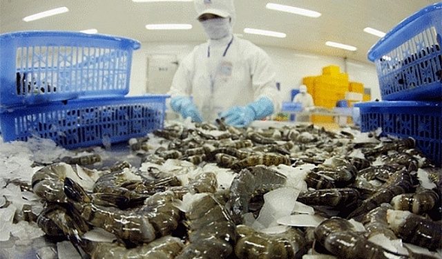 Xuất khẩu tôm sang thị trường Australia tăng kỷ lục