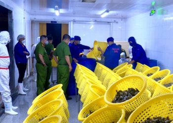 Bạc Liêu: Phát hiện gần 750kg tôm thành phẩm có chứa tạp chất CMC