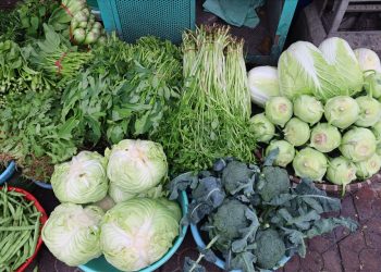 Vựa rau Mê Linh thiệt hại nặng sau mưa lớn, thị trường đẩy giá tăng cao