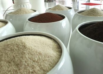 Vì sao giá phụ phẩm lúa gạo ‘vượt mặt’ sản phẩm chính?