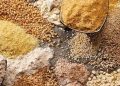 Nhiều công ty tăng giá thức ăn chăn nuôi