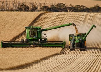 Giá lương thực toàn cầu tiếp tục giảm tháng thứ 2 liên tiếp