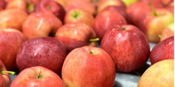Delicious Fruits – Trái cây tươi ngon và an toàn từ Châu Âu