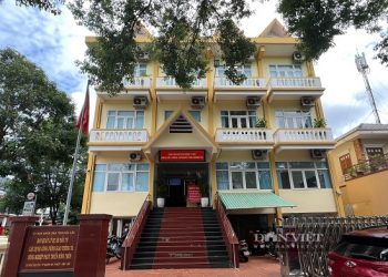 Chủ tịch UBND tỉnh Đắk Lắk ký quyết định giao phụ trách đơn vị cho Phó GĐ Ban QLDA bị tố giả mạo hồ sơ