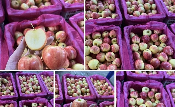 Bất ngờ táo cherry được rao bán với giá rẻ hơn mớ rau muống, nguồn gốc ở đâu?