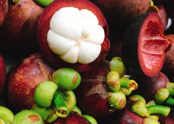 Rau Quả Việt Nam có nhiều cơ hội xuất khẩu sang các thị trường  như EU, Hoa Kỳ, Úc