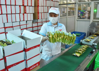 Doanh nghiệp lên kế hoạch sản xuất hàng hoá cuối năm