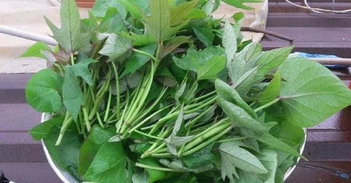 Rau lang tốt cho sức khỏe nhưng cần lưu ý những điều sau để tránh mắc bệnh