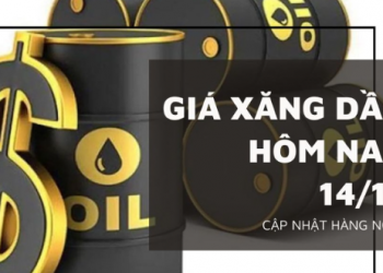 Giá xăng dầu hôm nay 14/12: Giảm nhẹ, dao động quanh mức 62.320 JPY/thùng