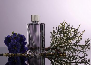 First Instinct Man- Bản Lĩnh Phái Mạnh