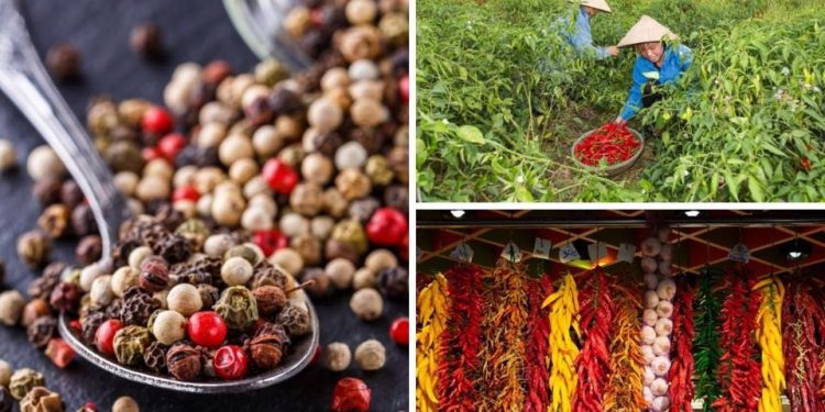 Giá tiêu hôm nay 15/3: Tăng trở lại ở Tây Nguyên nhờ xuất khẩu