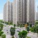 Nhu cầu thuê chung cư tại Hà Nội & TP. Hồ Chí Minh tăng cao quý 2 năm 2023
