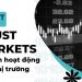 Chương Trình Khuyến Mãi Tại Trust Markets Có Gì Hấp Dẫn?