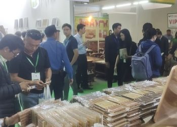 VIFA ASEAN lần thứ 1 năm 2023 đã chính thức khai mạc