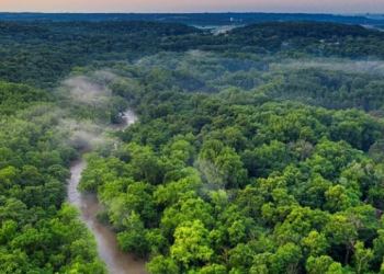 Mục tiêu chung hướng đến phát thải ròng về mức 0 vào năm 2050