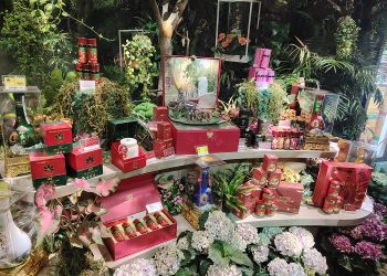 Lễ hội “Sâm và hương liệu, dược liệu quốc tế” chính thức khai mạc