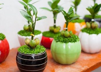 List 10+ Món Quà 20/10 Cho Cô Giáo Ý Nghĩa Nhất 2024